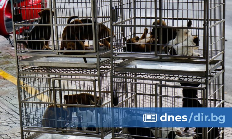 От ПП-ДБ обмислят да внесат законодателни предложения за инкриминиране на