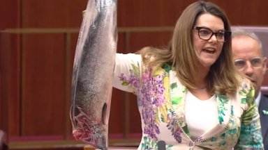 Австралийският сенатор Сара Хансън Йънг извади голяма мъртва сьомга и я размаха от
