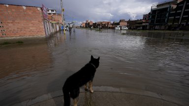 Боливийският президент Луис Арсе обяви национално извънредно положение заради проливни