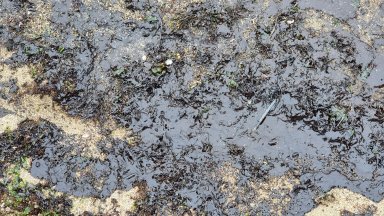 Заради замърсяването с мазут на брега между втора и трета