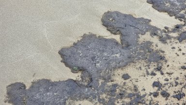 Количеството изхвърлени нефтопродукти замърсили морето край Варна е между половин