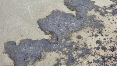 При извършените днес проверки не е установен брегови източник на