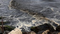 Нови петна мазут се появиха край Варвара, Синеморец и плаж "Бутамята"