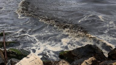 Нови петна мазут се появиха край Варвара, Синеморец и плаж "Бутамята"