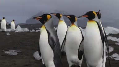 В списъка на 185 държави на които американският президент Доналд