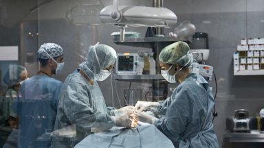 Нов случай на жестокост над животно този път от Свищов