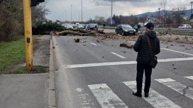 Голямо дърво се стовари на платното на столичния булевард Цариградско