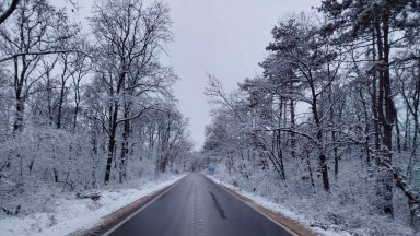 Ограничава се движението на тежкотоварни автомобили с ремаркета и полуремаркета