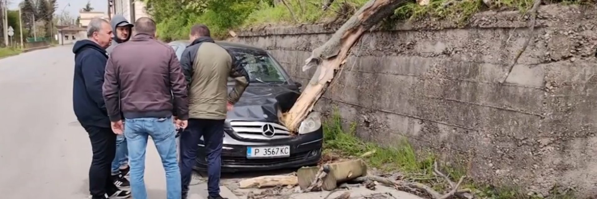 Дърво падна и се вряза в спряла кола в Русе, докато шофьорът е вътре (видео)