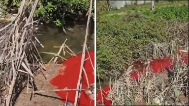 Македонската Агенцията по храните и ветеринарната медицина е проверила кланица