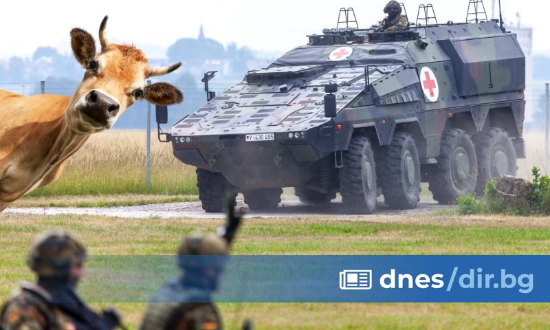 Докато Германия е в разгара на дебат за това как