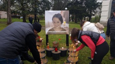 Търсят се свидетели на катастрофата край Плевен при която