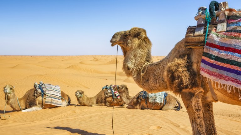 Тунис: Дали е правилният избор за вашата ваканция?