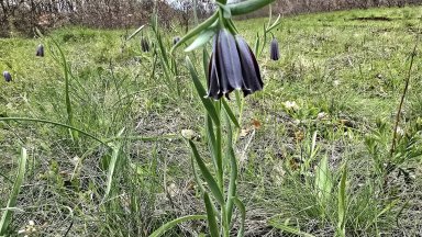 На уникална находка са е натъкнал антропологът и историк от