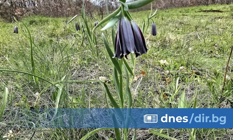 На уникална находка са е натъкнал антропологът и историк от