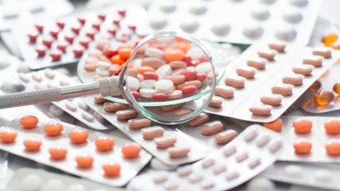 Към момента нито една фирма не се е явила на