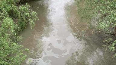 Експерти на Регионалната инспекция по околната среда и водите РИОСВ