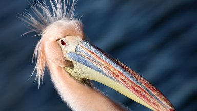 От няколко дни фотографи телевизионни камери граждани и случайни минувачи