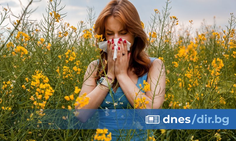 Най-важното:
Как инхалациите се сравняват с традиционните методи за облекчаване на