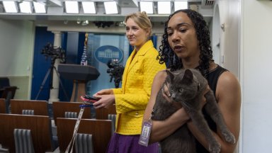 Виж още Котаракът Лари който сменя 4 и британски премиер се