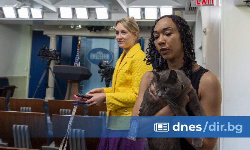 Виж още Котаракът Лари, който сменя 4-и британски премиер, се