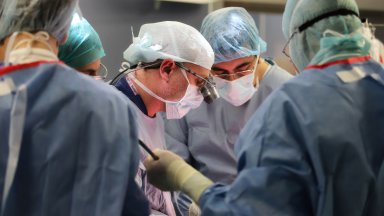 Виж още 20 години от първата трансплантация на черен