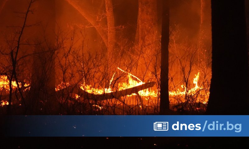 Около 3000 жители на американския щат Ню Джърси бяха принудени