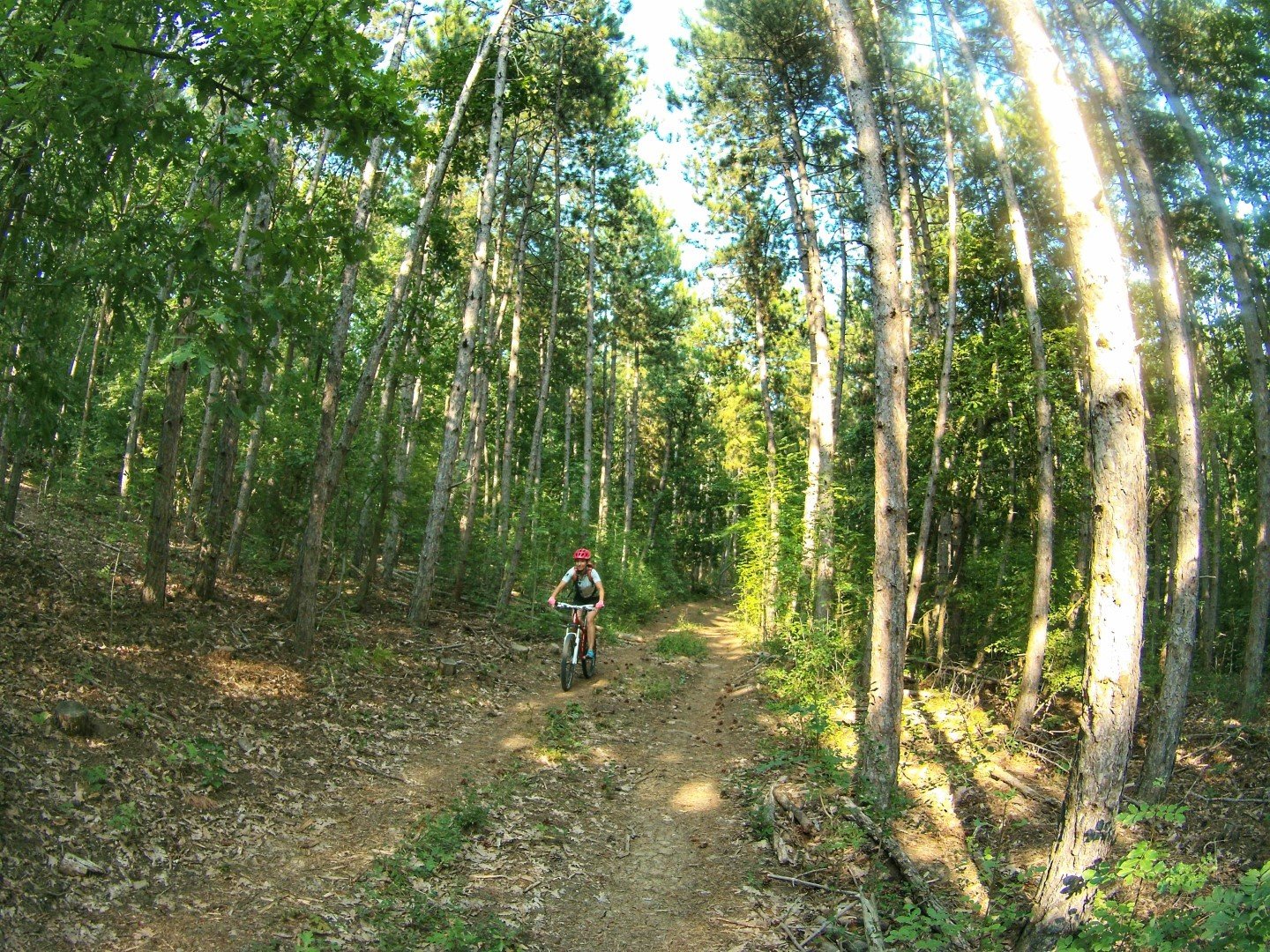 По отсечката Бяла -Обзор - Къмпинг Чайка - Иракли