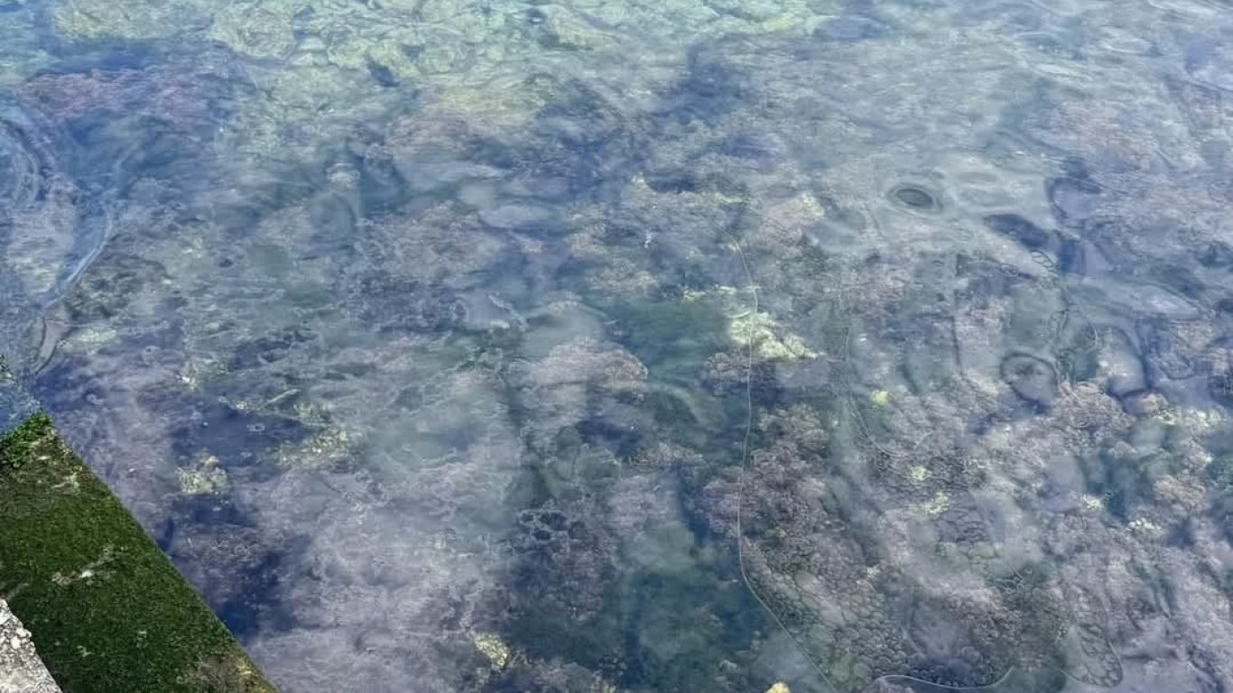 17 тона петрол са разляха в Адриатическо море край хърватския остров Хвар (видео)