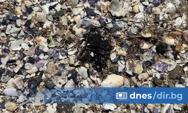 Плажната ивица в Поморие е залята с нефтени петна, които