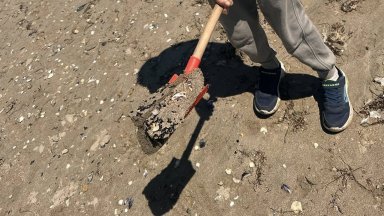 Почистена е плажната ивица на Поморие от изплувалите мазутни петна