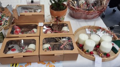 За година броят на социалните предприятия във Варна се е