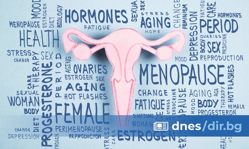 Днешният разговор в подкаста на Болница ВИТА е много повече