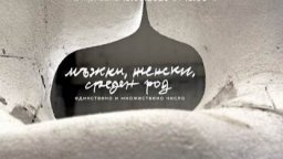 "Мъжки, женски, среден род - единствено и множествено число" от Павел Койчев