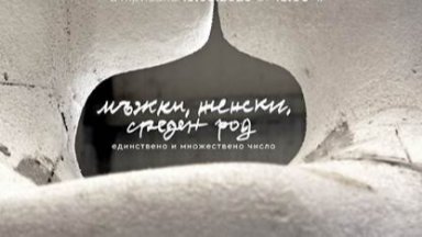 "Мъжки, женски, среден род - единствено и множествено число" от Павел Койчев