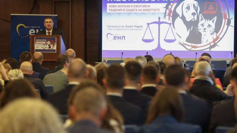 Правителството и прокуратурата се обявиха за ефективни мерки срещу насилието над животни 