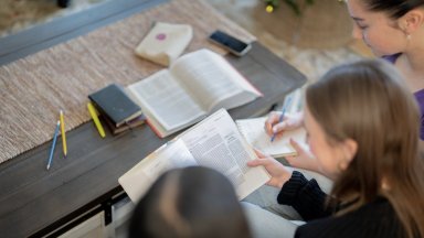 Различните балкански страни прилагат различни модели по отношение на образованието