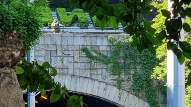 Мъж заплашва да скочи от тунела на бул. "Цар Борис III", центърът на Пловдив е блокиран (снимки)