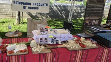 Мандра Братушково се намира в едноименното малко село в община