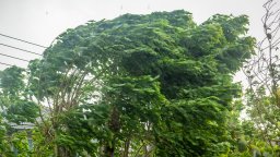 Един човек загина, а трима бяха ранени при инциденти, предизвикани от силен вятър в Румъния