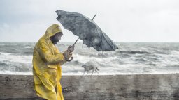 Меко, ветровито и променливо до четвъртък, застудяване с дъжд и сняг в края на седмицата