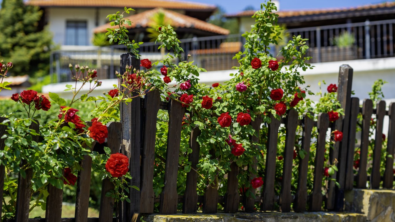 Българево: Културните съкровища на гагаузите