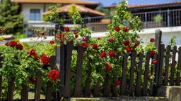 Българево: Културните съкровища на гагаузите