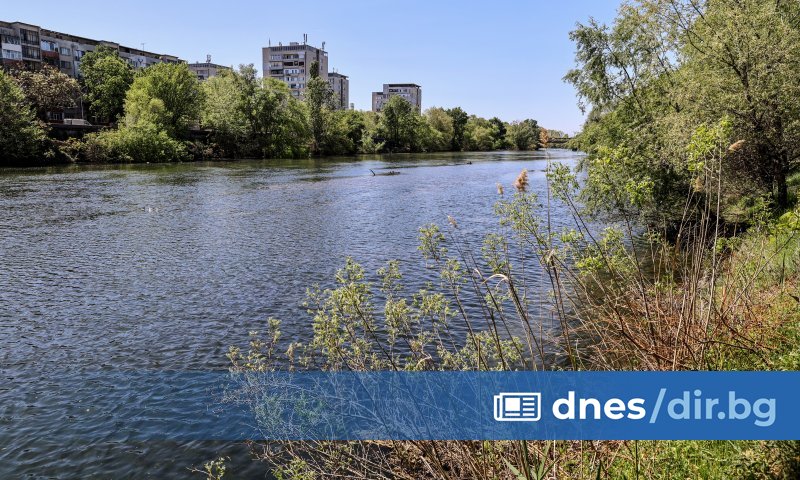 Тяло на мъж изплува от водите на река Марица в