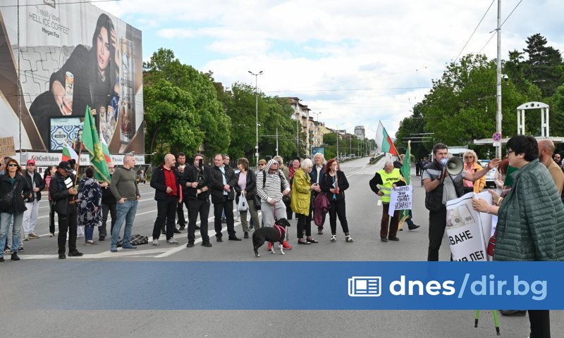 Протестиращи в подкрепа на българския лев се събраха на Орлов