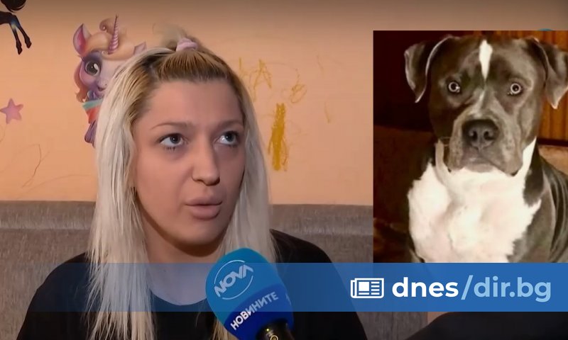 Домашен питбул нападна и рани тежко 4-годишно дете в столичния