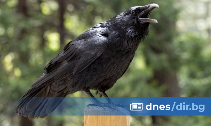 Учителка от столичната 17-а Мечо Пух е в болница, след