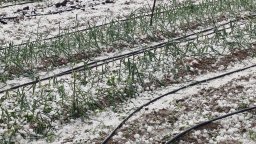 "Имах чувството, че свършва светът": Очакват се нови градушки през почивните дни (снимки)