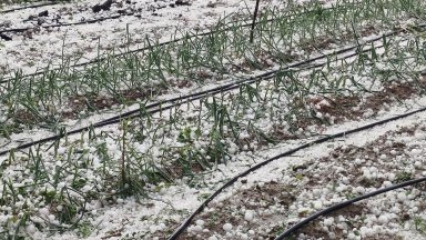 Унищожени градински посеви щети по автомобили и покриви това