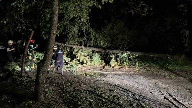 Силна буря с градушка връхлетя снощи Хисаря Изкоренени са дървета има